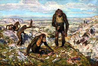Australopithecinae