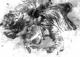 Те же самые тела, найденные под кедром, сфотографированные под другим углом и уже после удаления снега