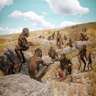 Australopithecus africanus 1