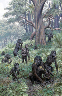 Australopithecus africanus 3