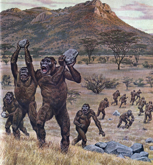 Paranthropus robustus tribe