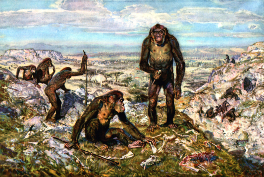 Australopithecinae