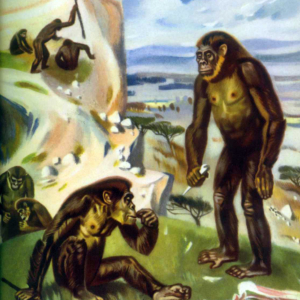 Lower Paleolithic reconstructions