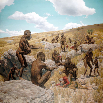 Australopithecus africanus. Fig. 2