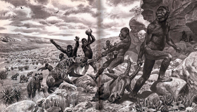 Australopithecus africanus Fig. 4