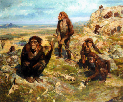Australopithecus africanus