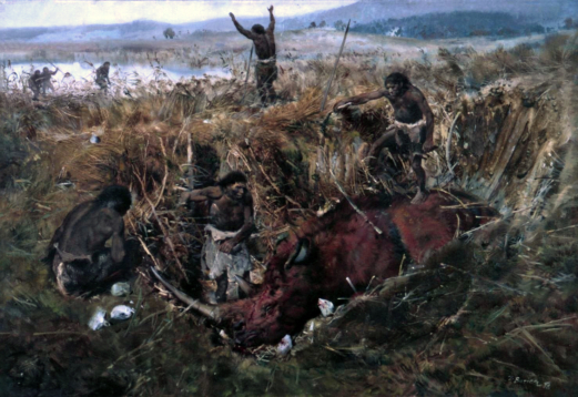 Hunting the hairy rhinoceros
