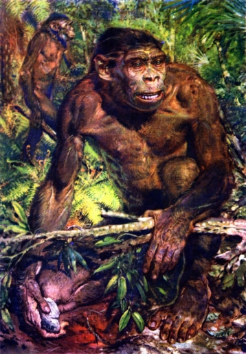 Pithecanthropus. Fig. 2