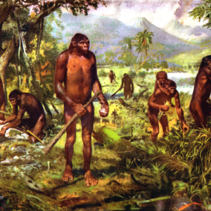 Lower Paleolithic by Zdenek Burian