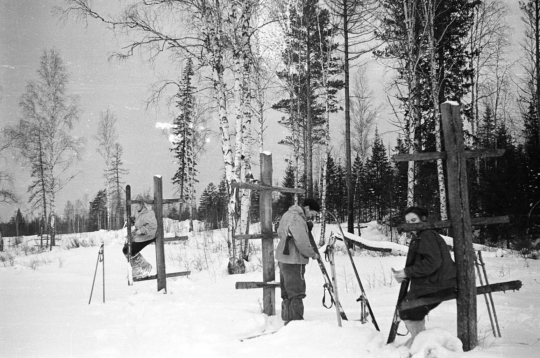 Фотография №28 из фотоплёнки №6