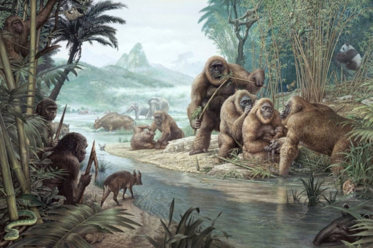 Homo erectus and Gigantopithecus